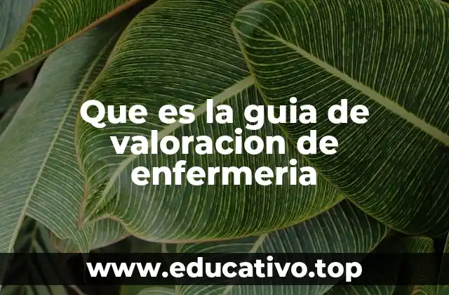 Que es la guia de valoracion de enfermeria