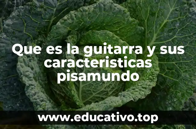 Que es la guitarra y sus caracteristicas pisamundo