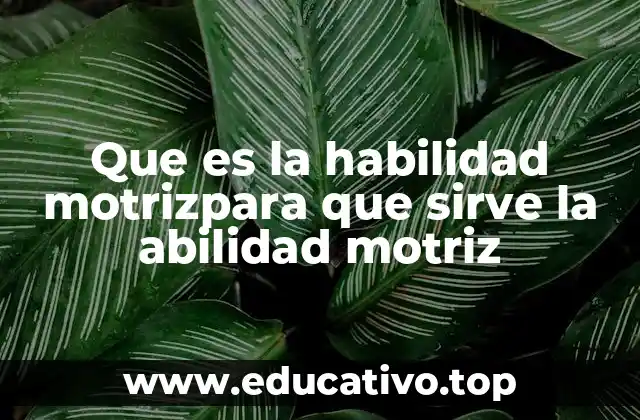 Que es la habilidad motrizpara que sirve la abilidad motriz