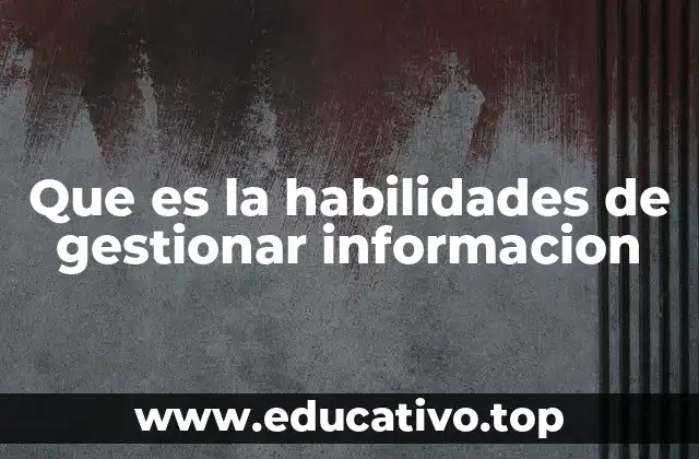 Que es la habilidades de gestionar informacion