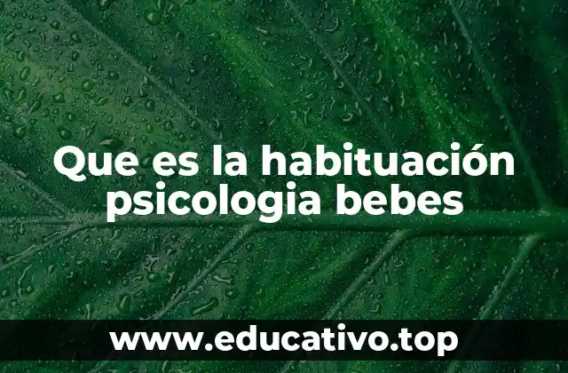 Que es la habituación psicologia bebes