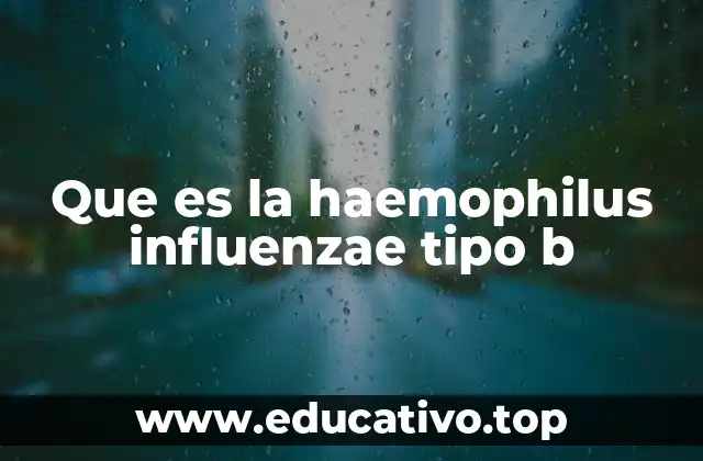 Que es la haemophilus influenzae tipo b