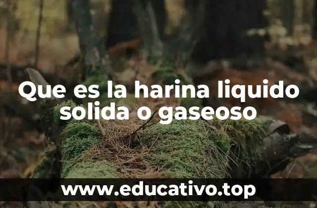 Que es la harina liquido solida o gaseoso