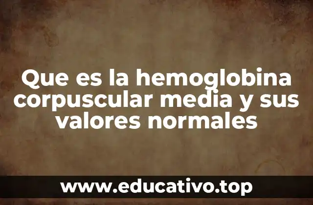 Que es la hemoglobina corpuscular media y sus valores normales
