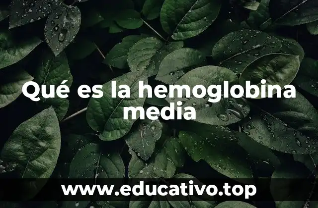 Qué es la hemoglobina media