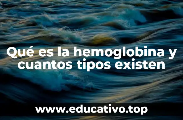 Qué es la hemoglobina y cuantos tipos existen