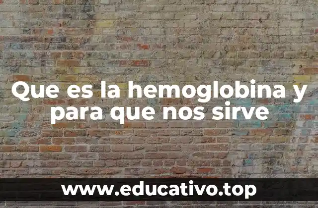 Que es la hemoglobina y para que nos sirve