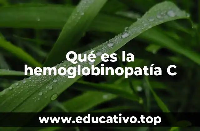 Qué es la hemoglobinopatía C