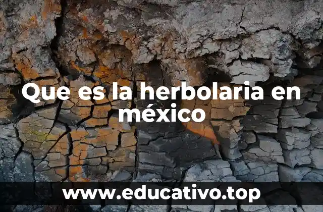 Que es la herbolaria en méxico