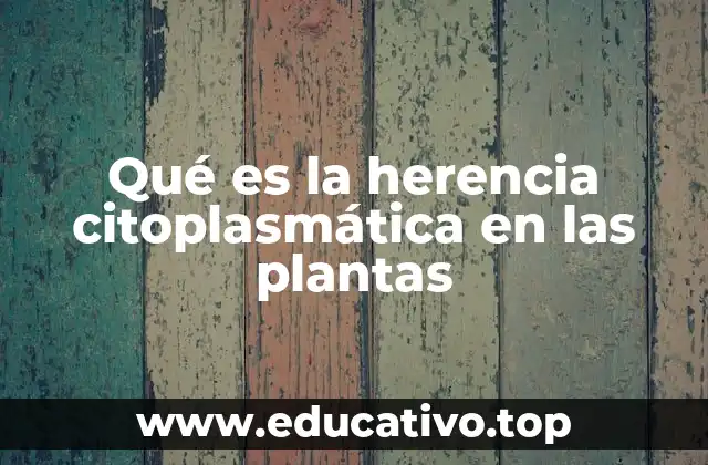 Qué es la herencia citoplasmática en las plantas