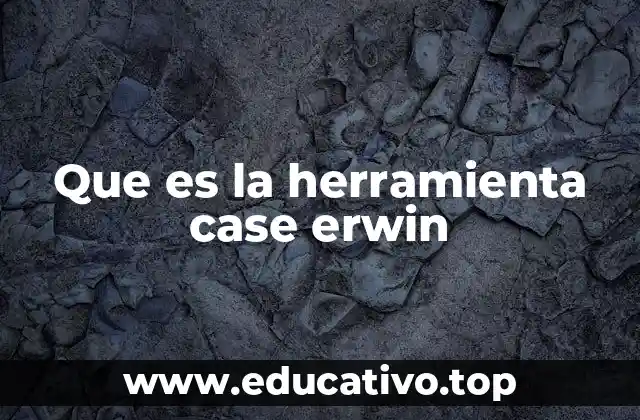 Que es la herramienta case erwin