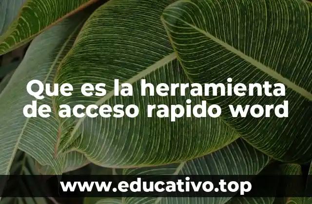 Que es la herramienta de acceso rapido word