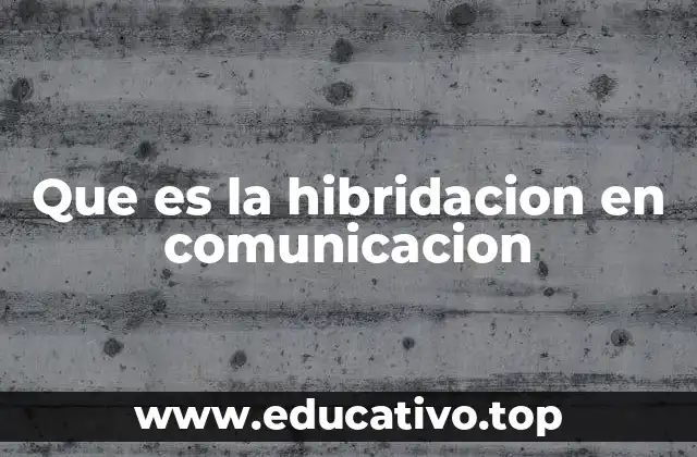 Que es la hibridacion en comunicacion