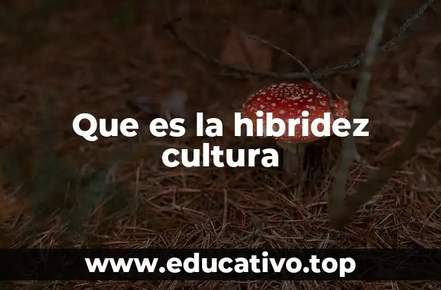 Que es la hibridez cultura