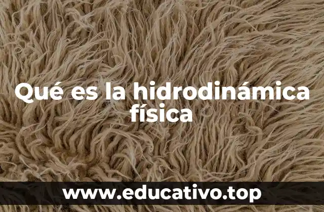 Qué es la hidrodinámica física
