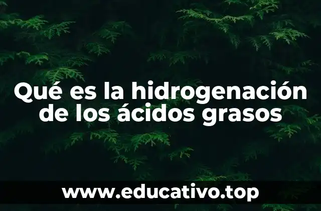 Qué es la hidrogenación de los ácidos grasos