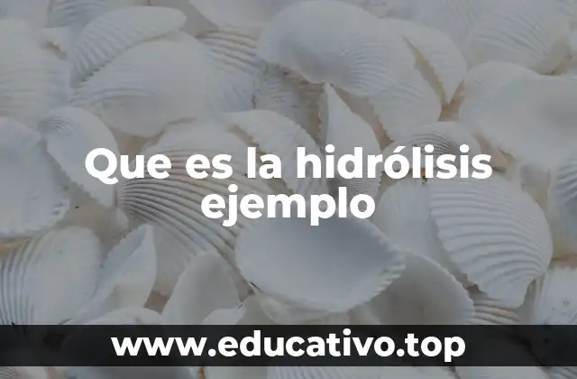 Que es la hidrólisis ejemplo