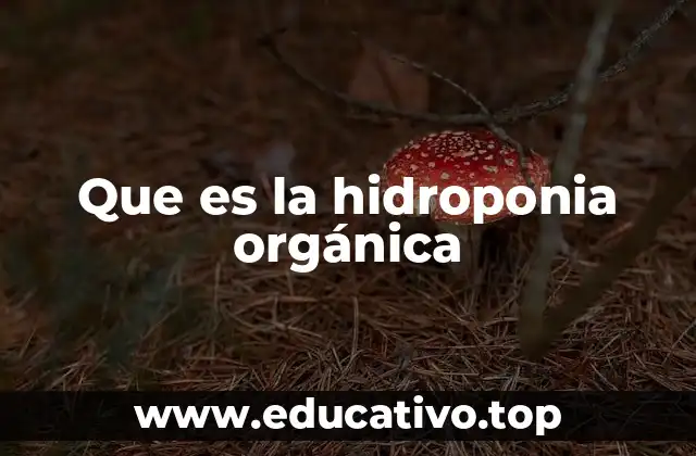 Que es la hidroponia orgánica