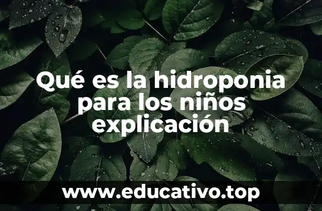 Qué es la hidroponia para los niños explicación