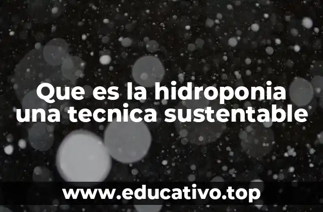 Que es la hidroponia una tecnica sustentable