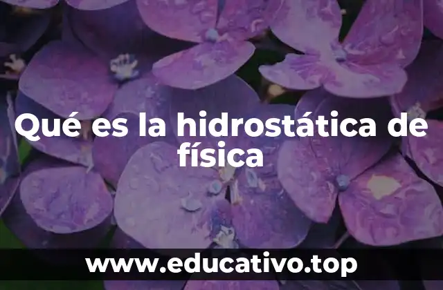 Qué es la hidrostática de física