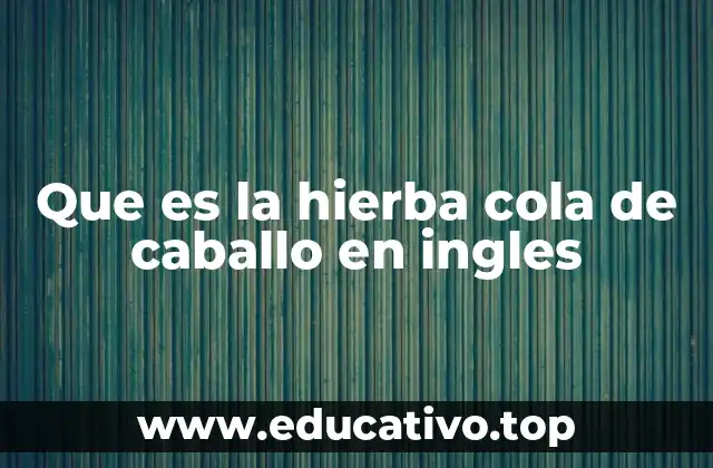 Que es la hierba cola de caballo en ingles