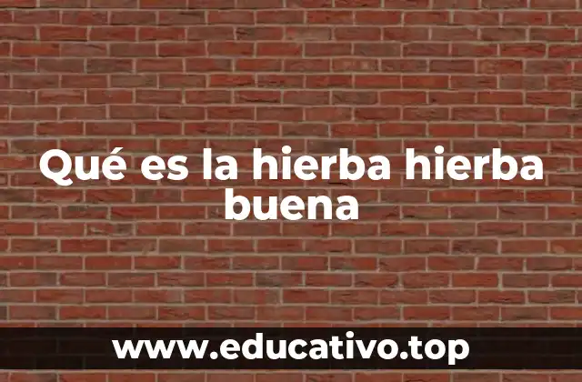 Qué es la hierba hierba buena