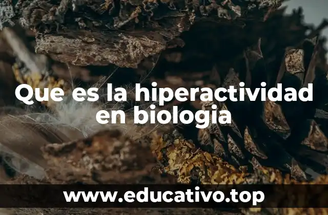 Que es la hiperactividad en biologia