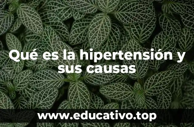 Qué es la hipertensión y sus causas