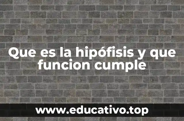 Que es la hipófisis y que funcion cumple