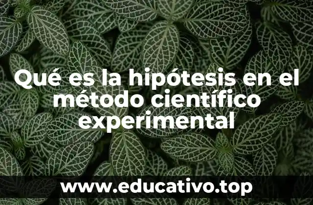 Qué es la hipótesis en el método científico experimental