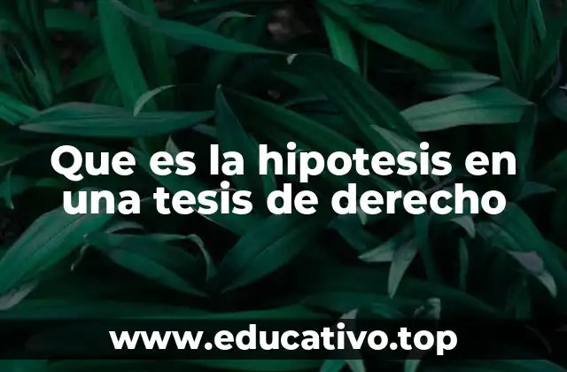 Que es la hipotesis en una tesis de derecho