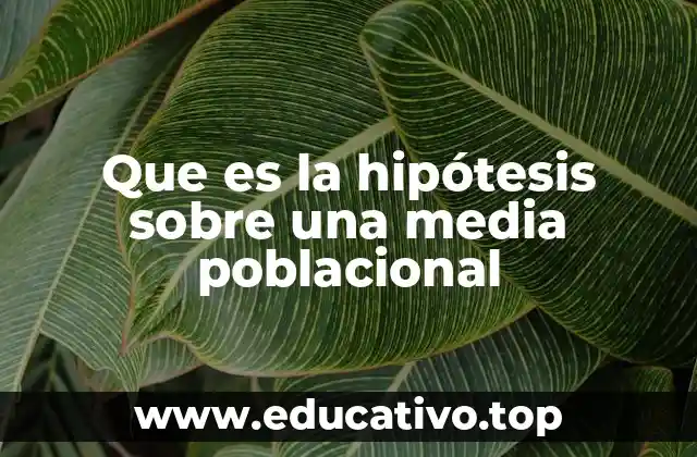 Que es la hipótesis sobre una media poblacional