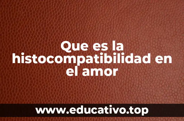 La química emocional y cómo influye en las relaciones