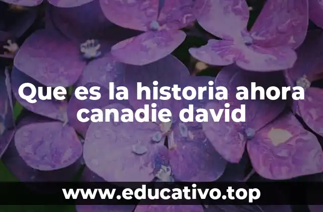 Que es la historia ahora canadie david