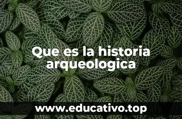 Que es la historia arqueologica