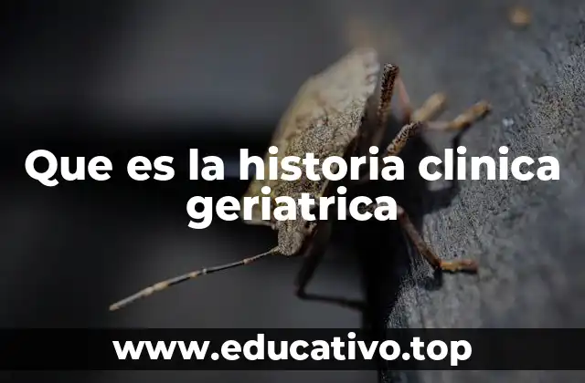 Que es la historia clinica geriatrica