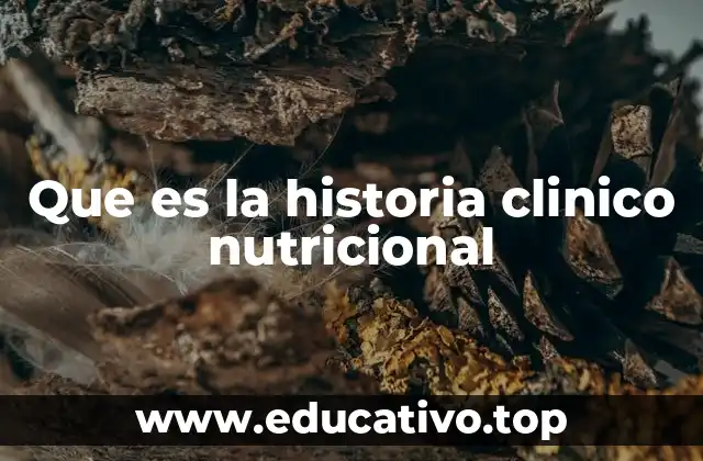 Que es la historia clinico nutricional