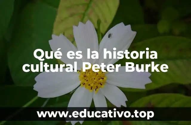 Qué es la historia cultural Peter Burke