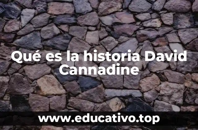 Qué es la historia David Cannadine
