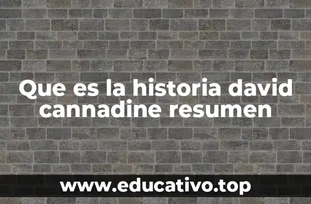 Que es la historia david cannadine resumen