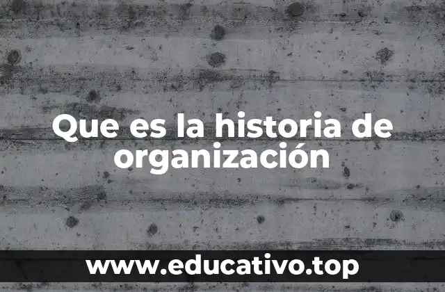 Que es la historia de organización