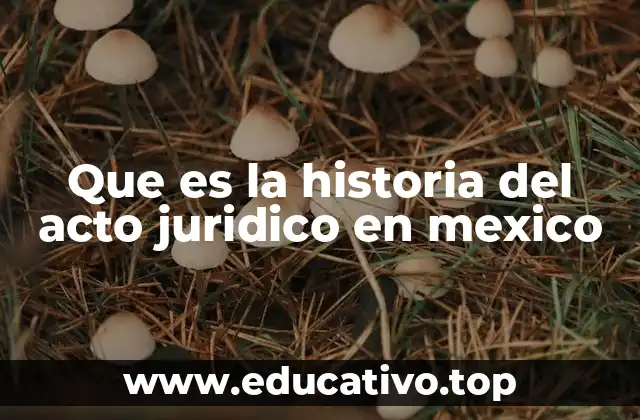Que es la historia del acto juridico en mexico
