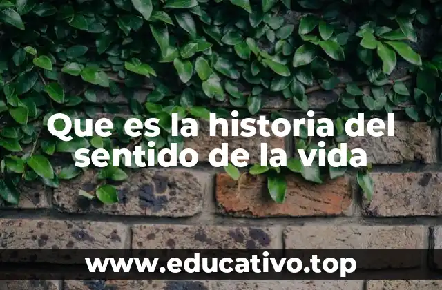 Que es la historia del sentido de la vida