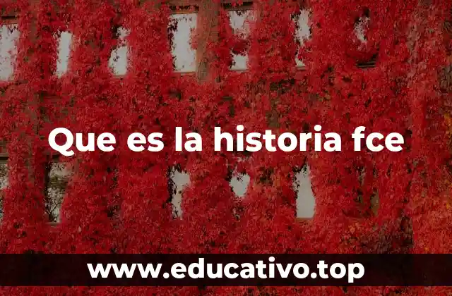 Que es la historia fce