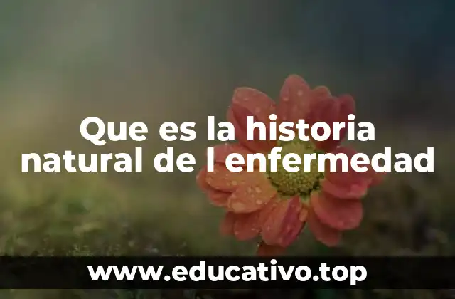 Que es la historia natural de l enfermedad
