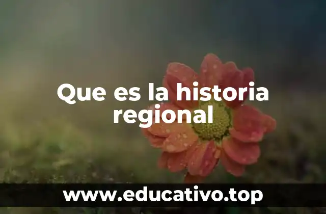 Que es la historia regional