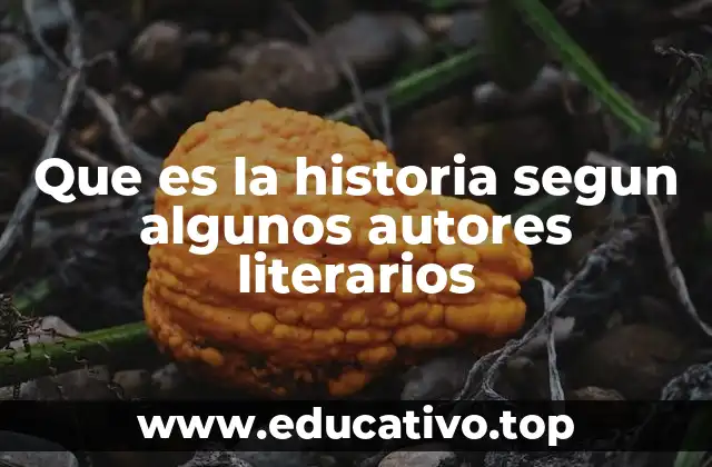 Que es la historia segun algunos autores literarios