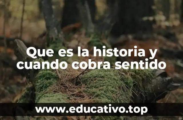 Que es la historia y cuando cobra sentido