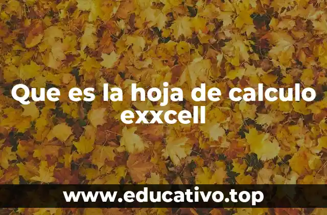 Que es la hoja de calculo exxcell